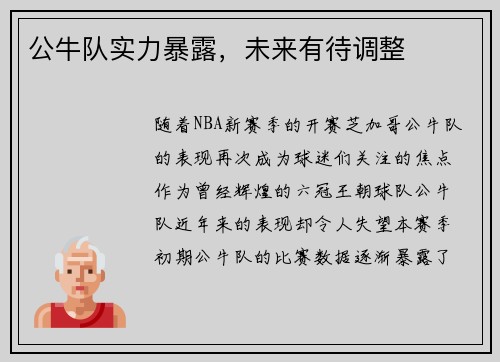 公牛队实力暴露，未来有待调整