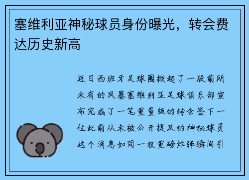 塞维利亚神秘球员身份曝光，转会费达历史新高