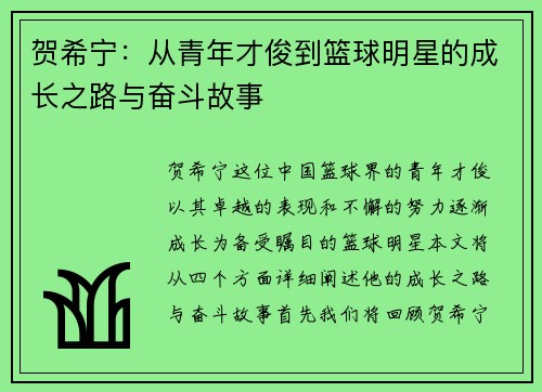 贺希宁：从青年才俊到篮球明星的成长之路与奋斗故事